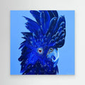 ’Blue One ’ | Cockatoo Painting | Angélique Duhaut | Artist