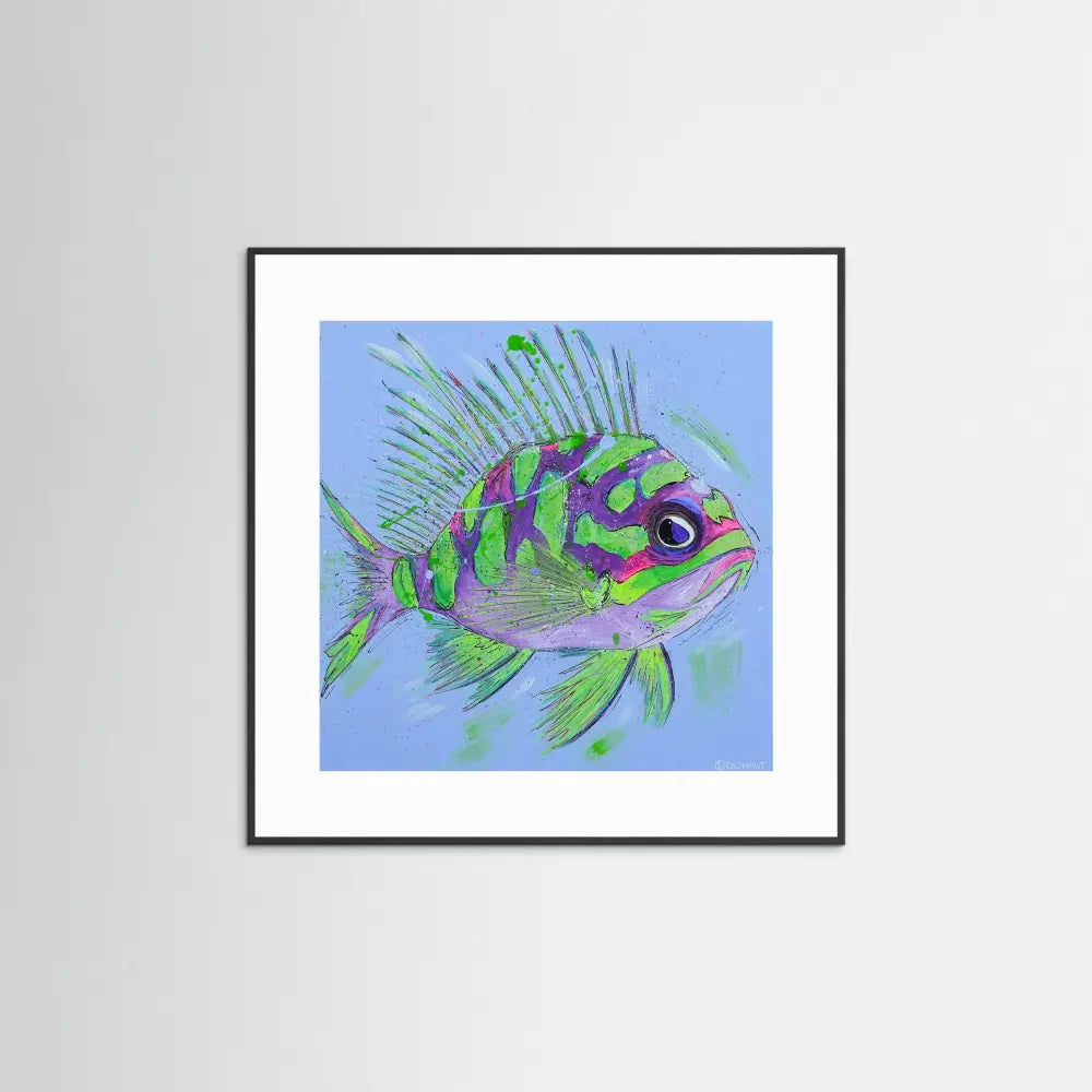 Grumpy Fish - Print on Fine Art Paper