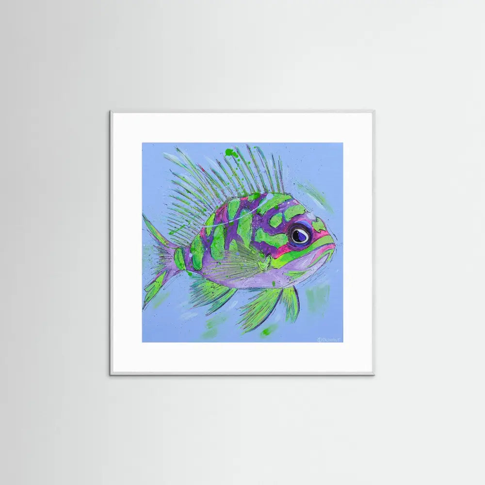 Grumpy Fish - Print on Fine Art Paper